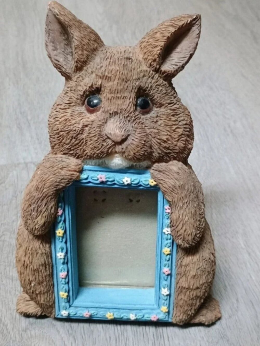 Small Brown Bunny Rabbit